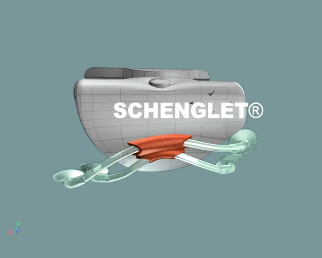 Schenglet® - image 3