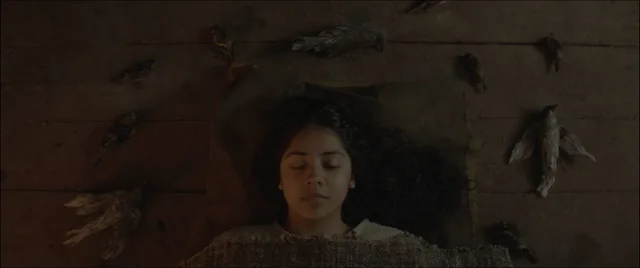 Brujería - image 4