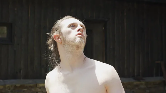 Théo et les métamorphoses - image 3