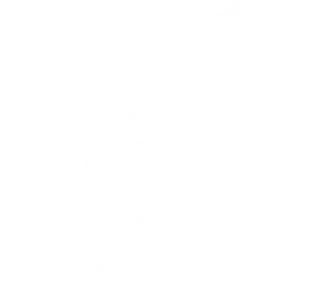 Festival logo