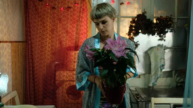 Békeidő - image 3